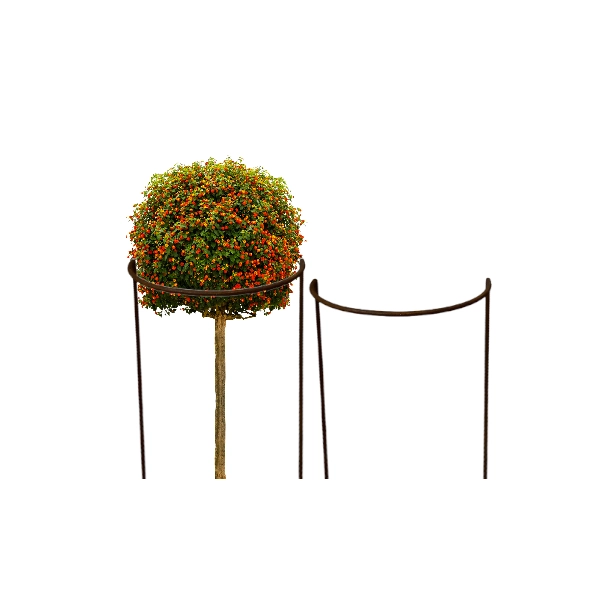 Podpora do krzewów roślin kwiatów pergola 30/50cm pojedyncza półokrągła